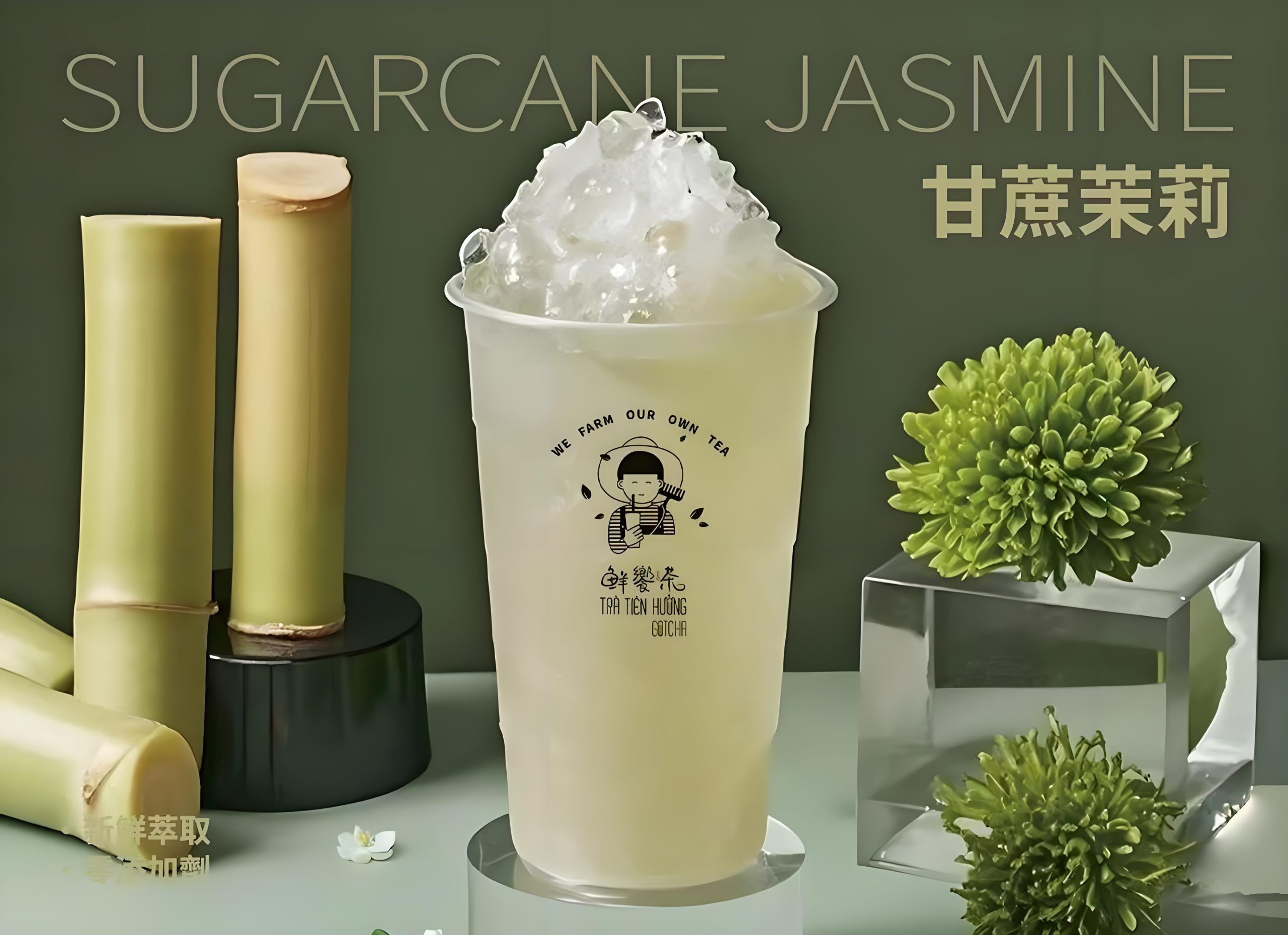 Sugarcane Jasmine 甘蔗茉莉
